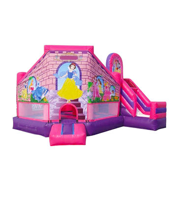 Φουσκωτό ροζ μωβ Disneyland Πριγκίπισσα Bouncy Castle για παιδιά