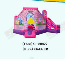 Φουσκωτό ροζ μωβ Disneyland Πριγκίπισσα Bouncy Castle για παιδιά